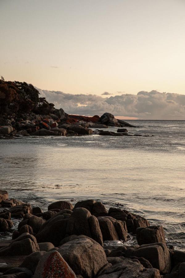 Driftwood Rest Binalong Bay Sleeps 4 Villa Exterior photo